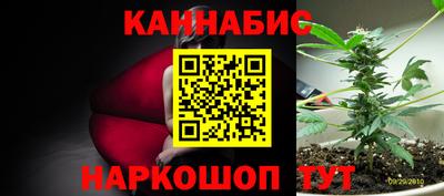 тгк Ставрополь