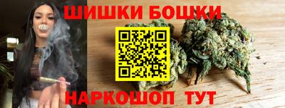 тгк Сланцы