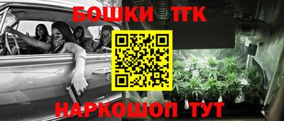 ГАЛЛЮЦИНОГЕННЫЕ ГРИБЫ Славгород