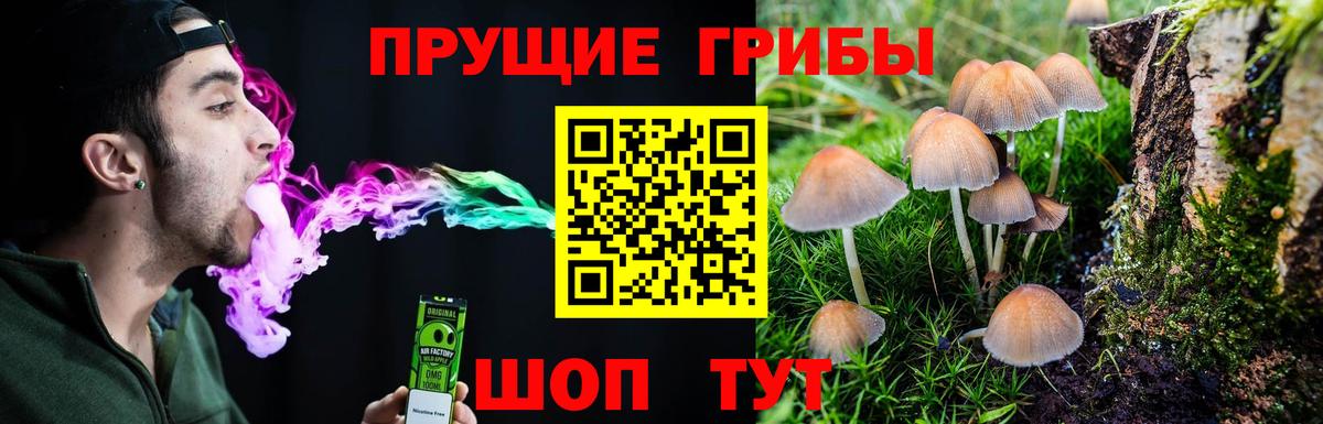 Нальчик  Псилоцибиновые грибы ЛСД  Вход с VPN 
